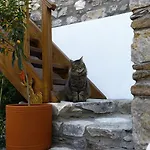 Ibri Сельчук